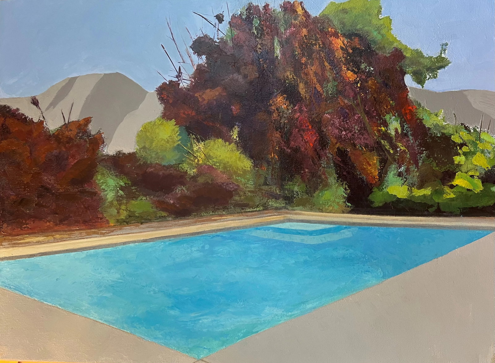 Mountain Aquatics Contemporary California Pool Landscape With Mount Tam in Maroon, Green, Blue by (1 of 9)