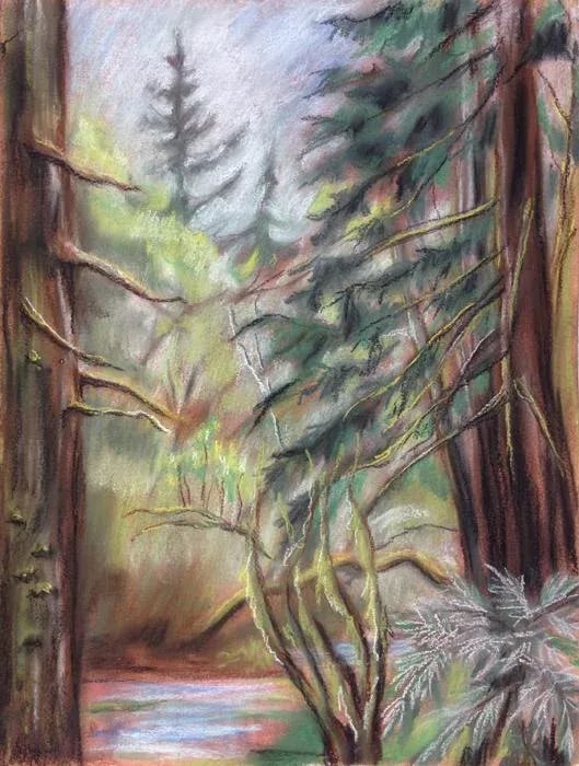 Original Pastel Landscape Drawing by Kathleen Ney: Hidden Wetland. Landscape pastel sketch of a dense forest on 12" x 16" prepared watercolor paper. Mixed media of gesso, oil and high quality soft pastels. Last photo shows it in a standard frame and