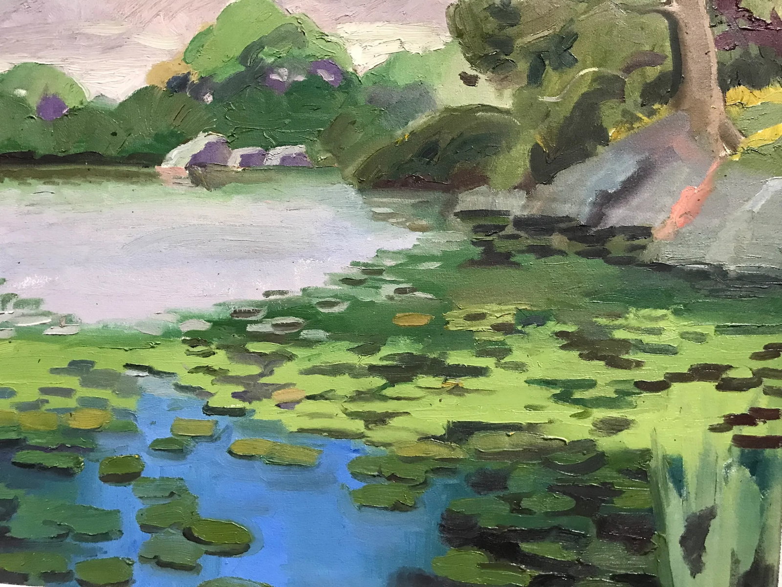 Water Lilies in the Harlem Meer Oil Painting - 2