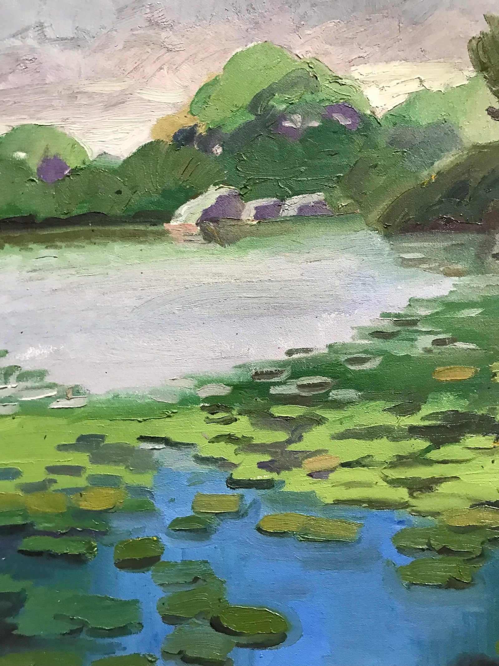 Water Lilies in the Harlem Meer Oil Painting - 4