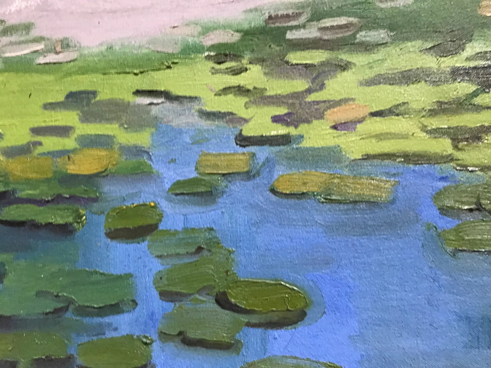 Water Lilies in the Harlem Meer Oil Painting - 5