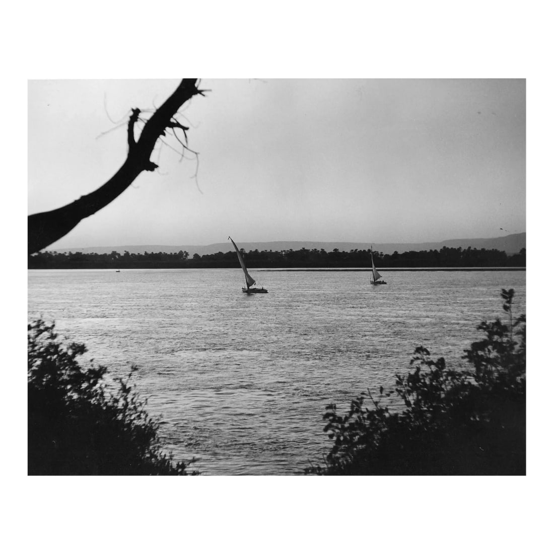 1964 Sailing on the Nile Egypt Photograph by Don Ware: 1964 black and white photo by Los Angeles, California based photographer Don Ware of "Feluccas on River Nile near Luxor, Egypt November 1964." Titled, dated and bearing Ware's studio stamp on the back