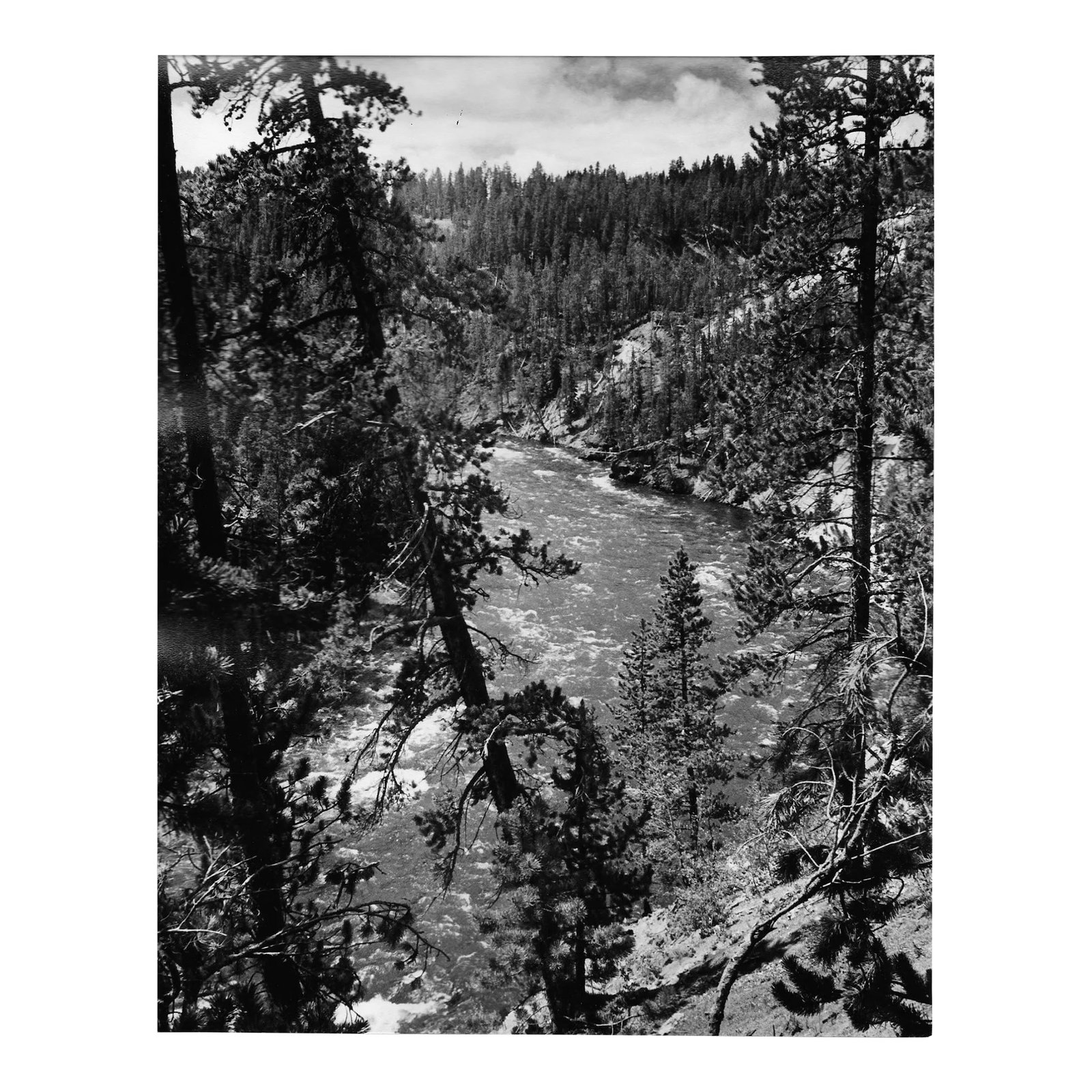 1969 Yellowstone Park River Photograph by Don Ware: 1969 black and white photograph by Los Angeles photographer Don Coleman Ware (1921-2006) of Yellowstone National Park river landscape. Title, dated and bearing Ware's studio stamp on the back.