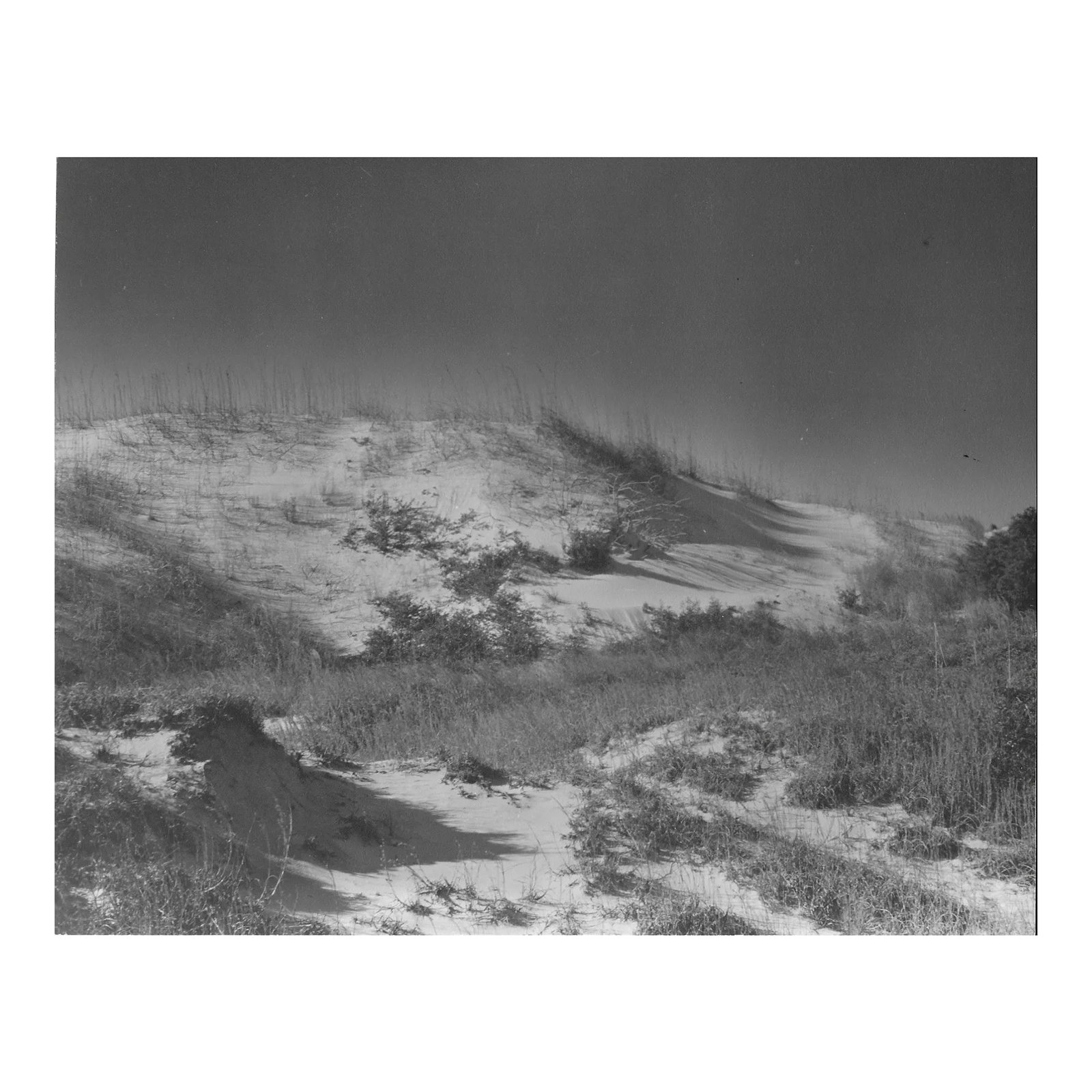 1947 Atlantic Beach North Carolina Photograph by Don Ware: 1947 black and white photo by Don Ware of the dunes in coastal North Carolina. Titled, dated and bearing Ware's studio stamp. Condition: Alterations: Original Condition Unaltered Imperfections: Some