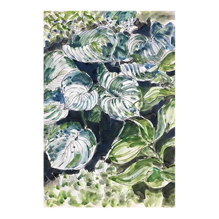Josie Capstick English Botanical Watercolor Painting: British artist Josie Capstick (1932-1998) watercolor plants in the Beth Chatto Gardens in Essex, England. Signed lower left, titled and dated lower right. Combined shipping available, please inquire.