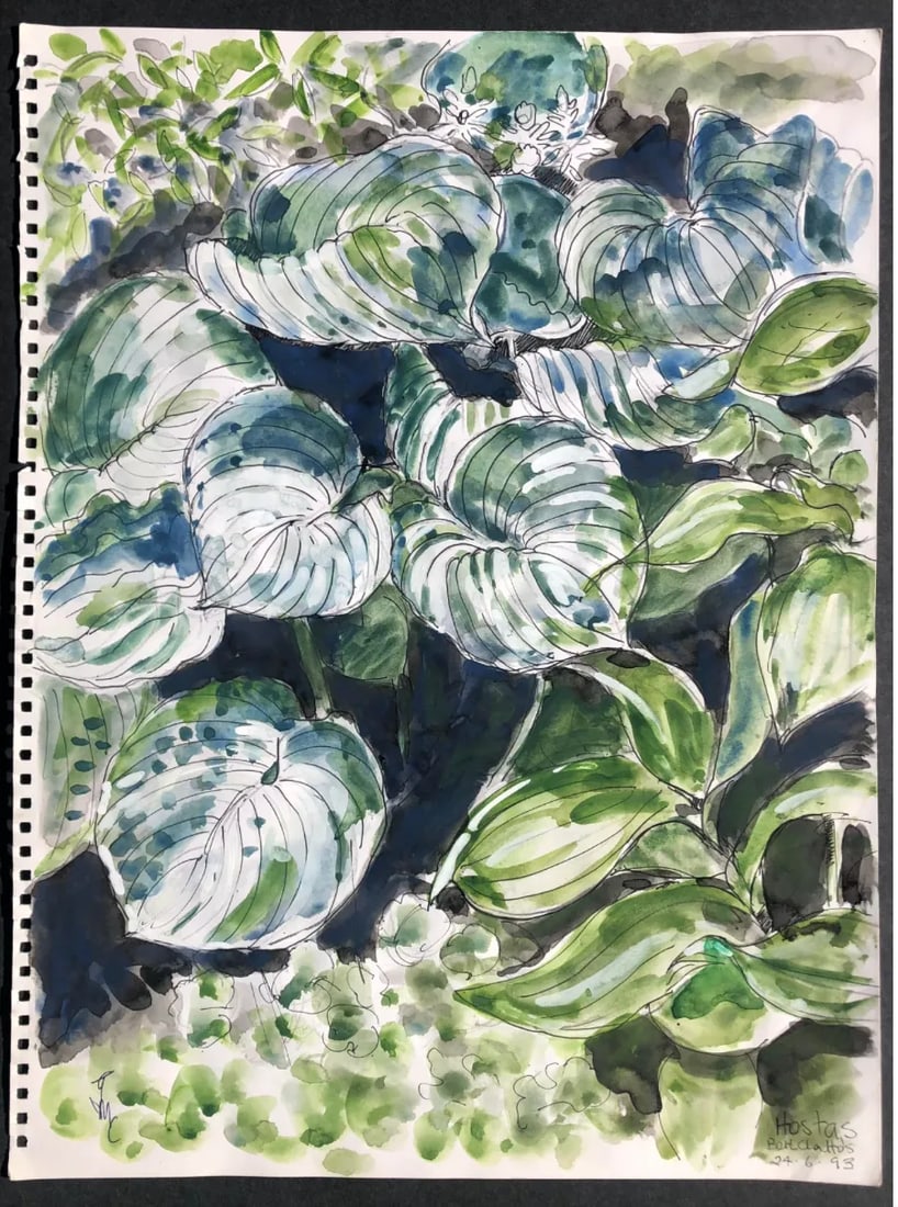 Josie Capstick English Botanical Watercolor Painting - 2