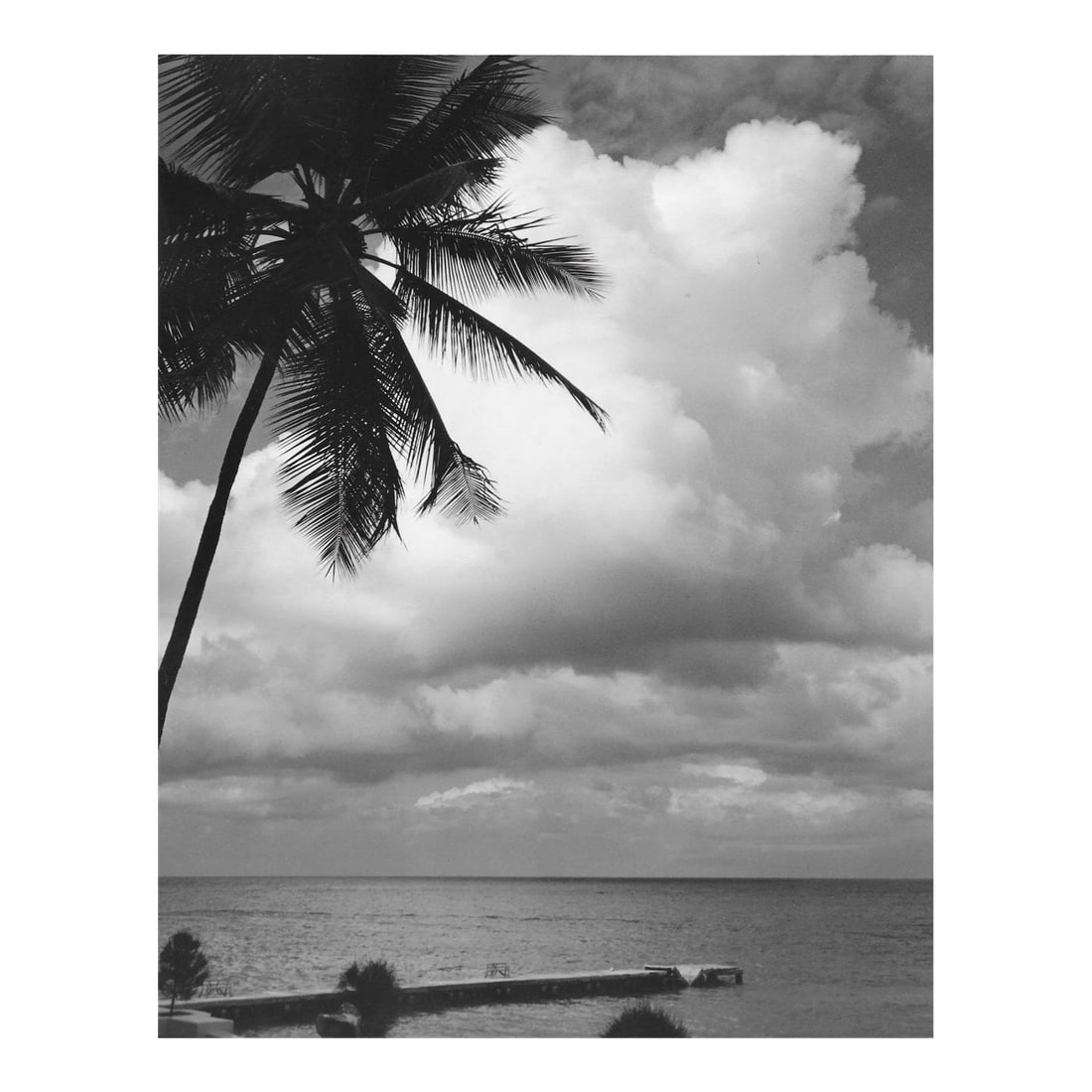 1966 Ocho Rios Jamaica Topical Photograph by Don Ware: 1976 black and white photo by Don Coleman Ware (1921-2006) of a palm tree and the ocean in Jamaica. Titled, dated and bearing Ware's studio stamp on the back. Condition: Alterations: Original