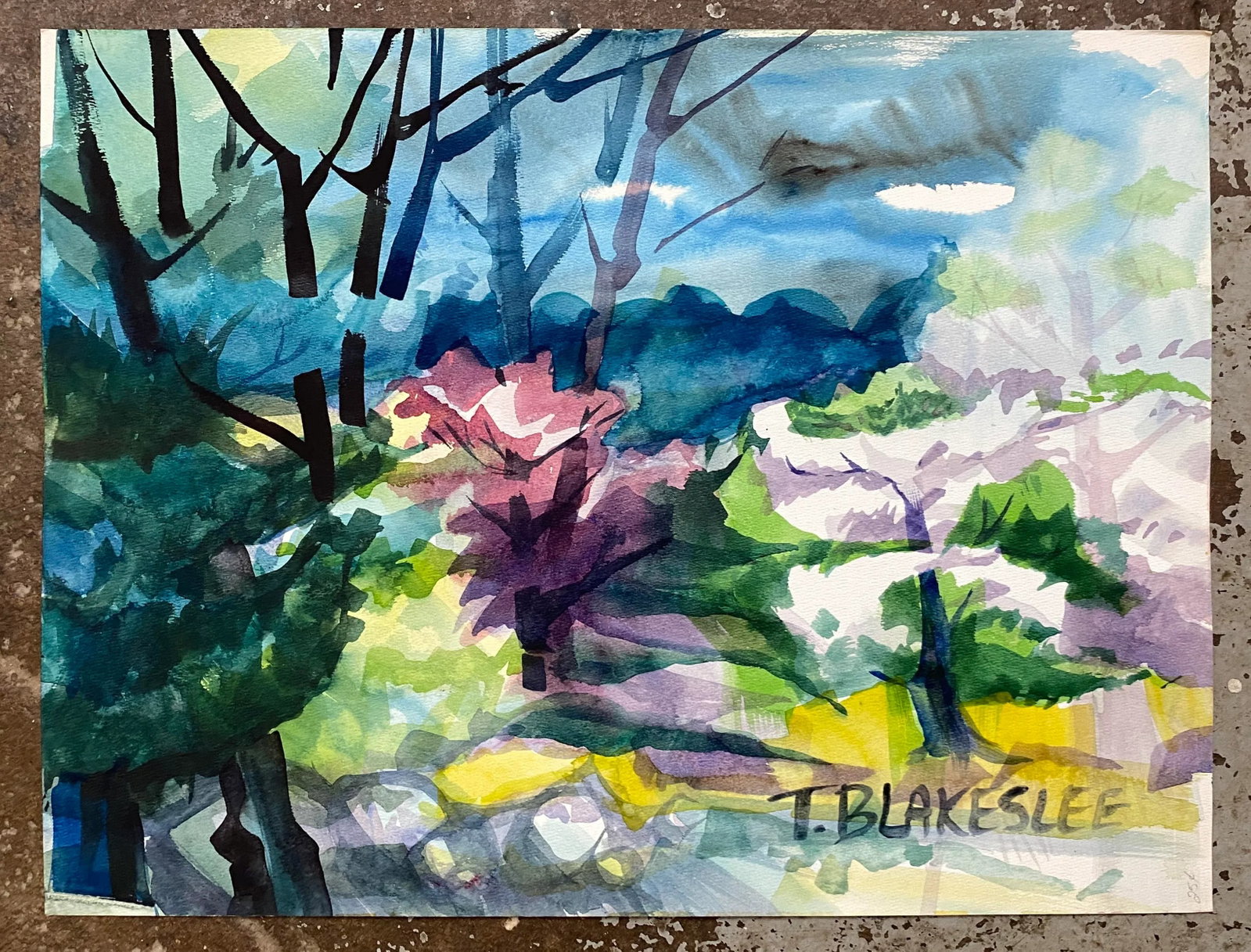 1960s Tina Blakeslee Modern Spring Landscape Painting - 2