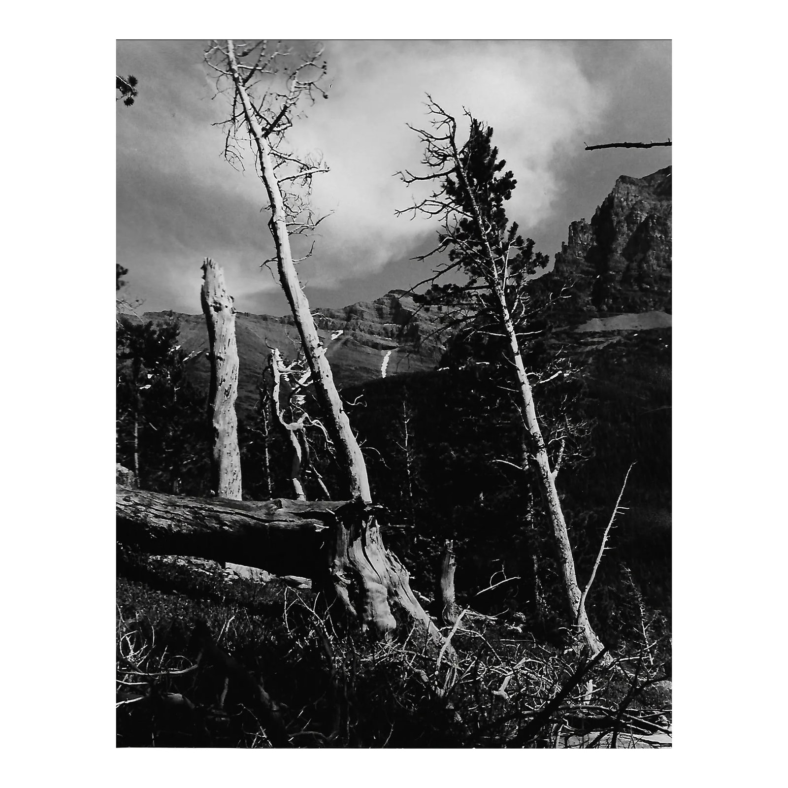 1969 Alberta Canada Mountain Photograph by Don Ware: 1976 black and white photo by Los Angeles, California Don Ware of the Canadian Rockies mountains in Alberta. Titled, dated and bearing Ware's studio stamp on the back. In the style on Ansel Adams. Ask