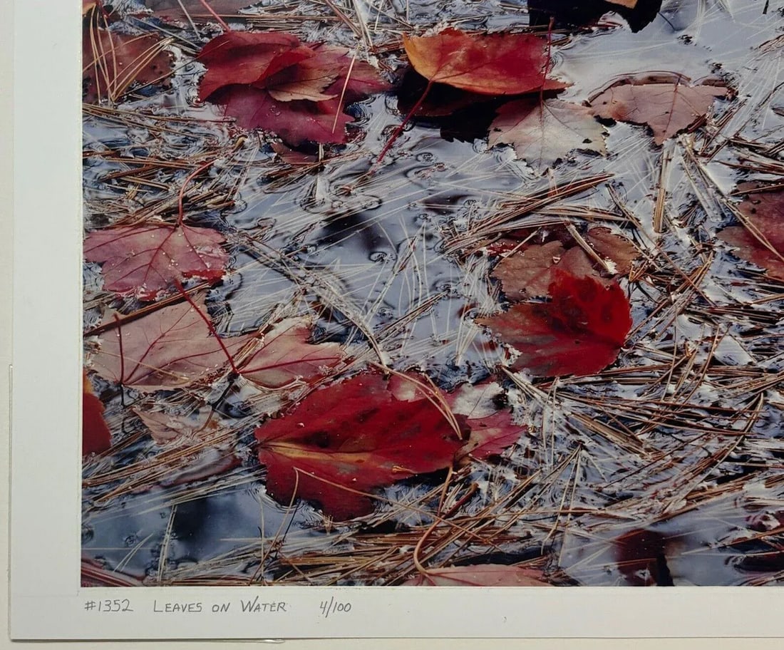 Original John Wawrzonek 'leaves on Water' Autumn Red Landscape Signed Photograph - 10
