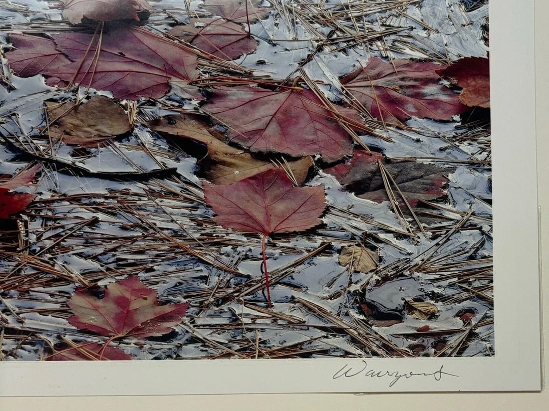 Original John Wawrzonek 'leaves on Water' Autumn Red Landscape Signed Photograph - 11