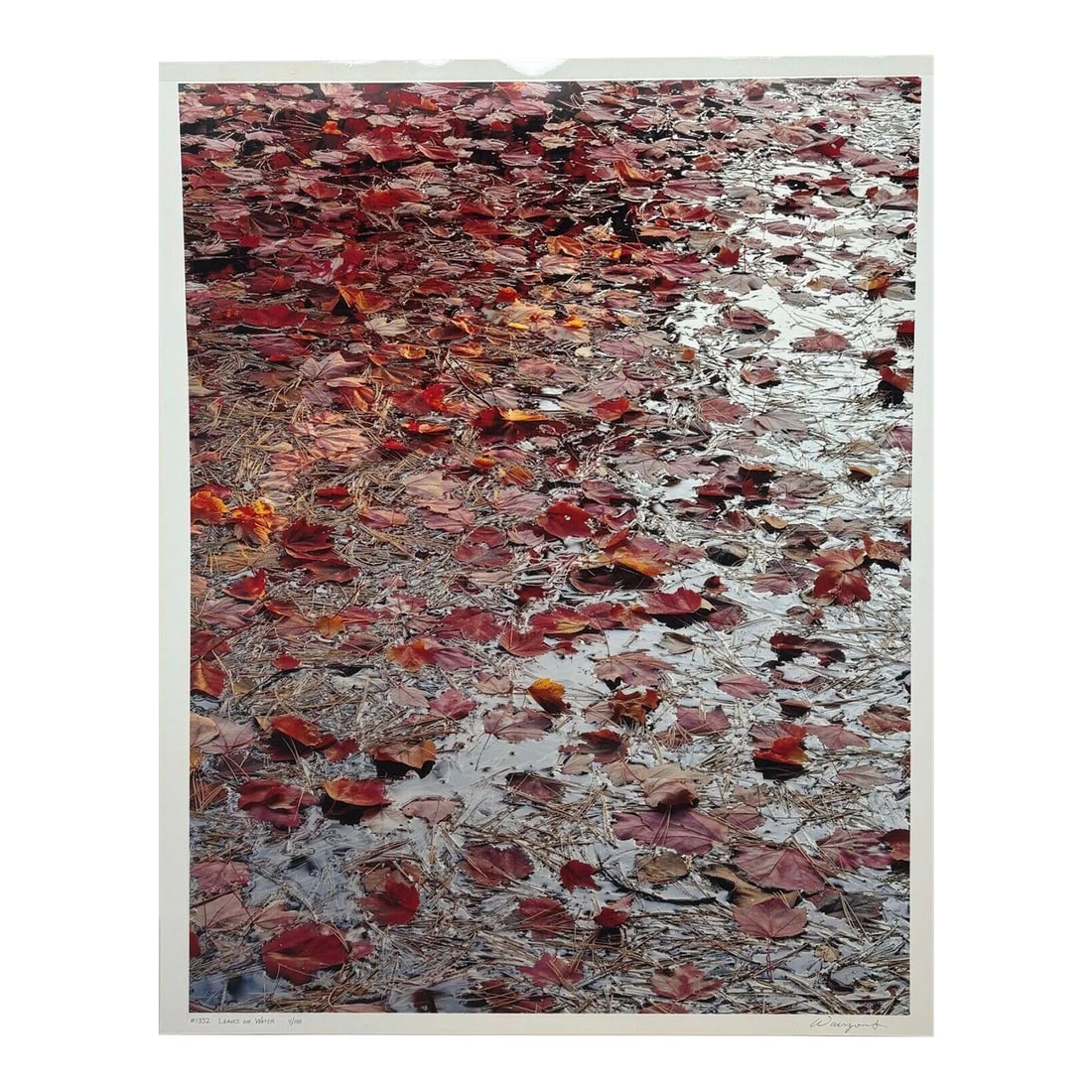 Original John Wawrzonek 'leaves on Water' Autumn Red Landscape Signed Photograph: This is a great piece. I have bought and sold a few photographs by John Wawrzonek in the past. I actually have a couple hanging in my home as well that I havent sold. For those not familiar with the