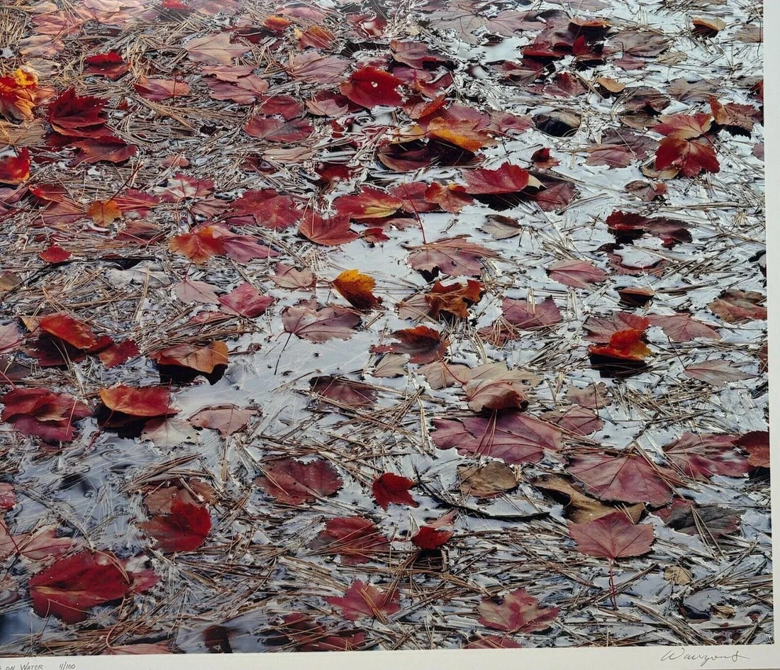 Original John Wawrzonek 'leaves on Water' Autumn Red Landscape Signed Photograph - 2