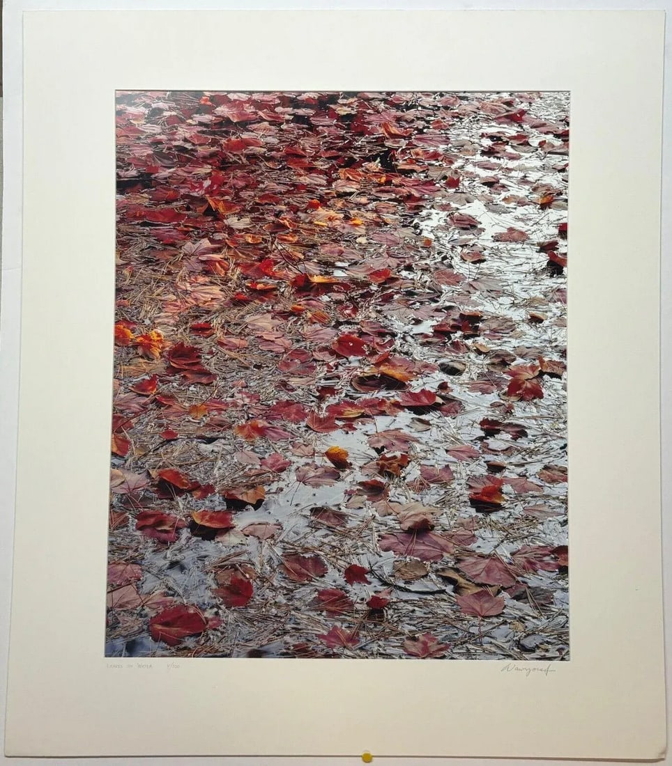 Original John Wawrzonek 'leaves on Water' Autumn Red Landscape Signed Photograph - 5