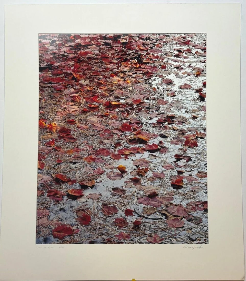 Original John Wawrzonek 'leaves on Water' Autumn Red Landscape Signed Photograph - 6