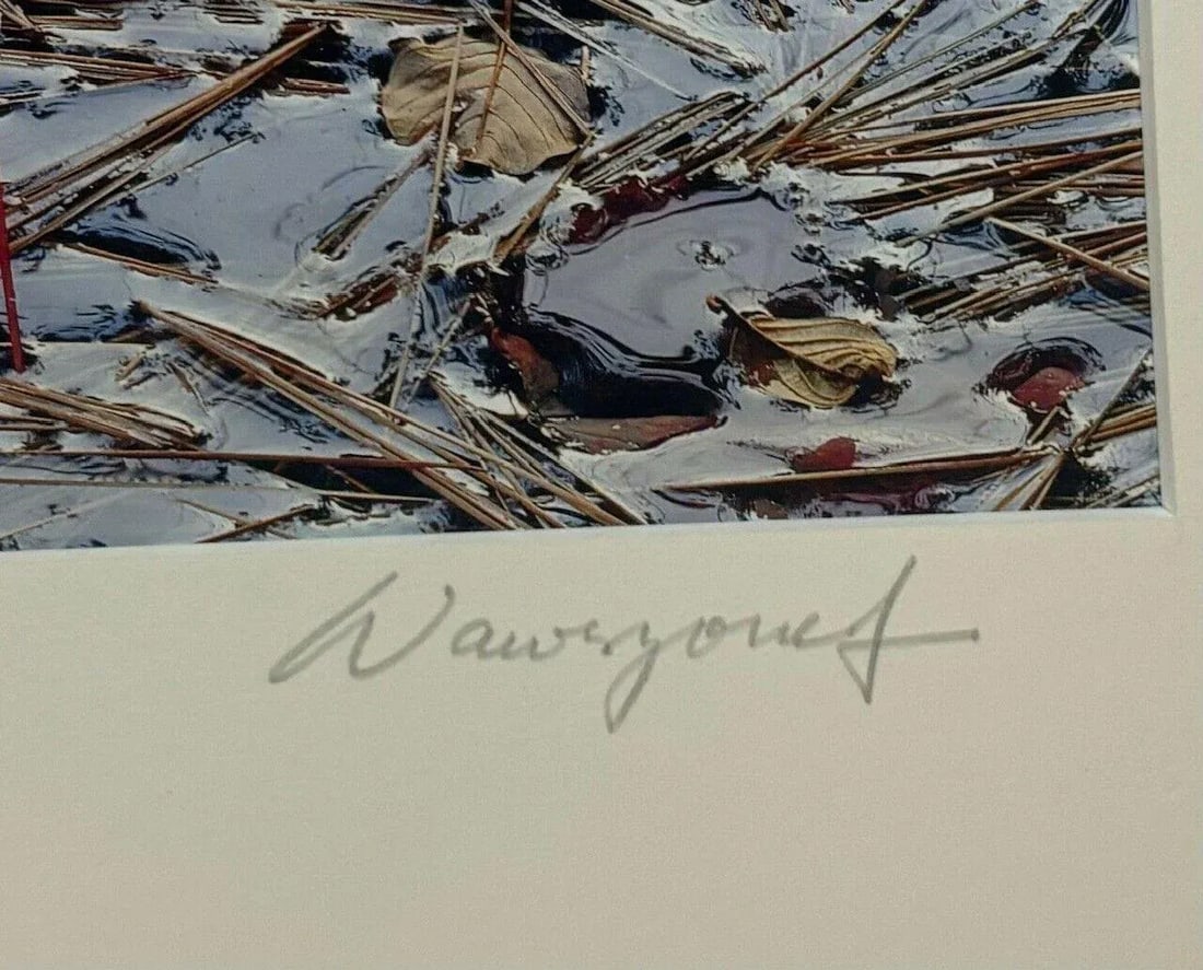 Original John Wawrzonek 'leaves on Water' Autumn Red Landscape Signed Photograph - 7