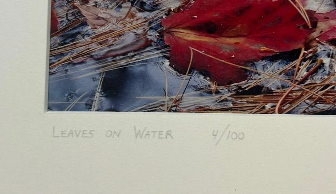 Original John Wawrzonek 'leaves on Water' Autumn Red Landscape Signed Photograph - 8