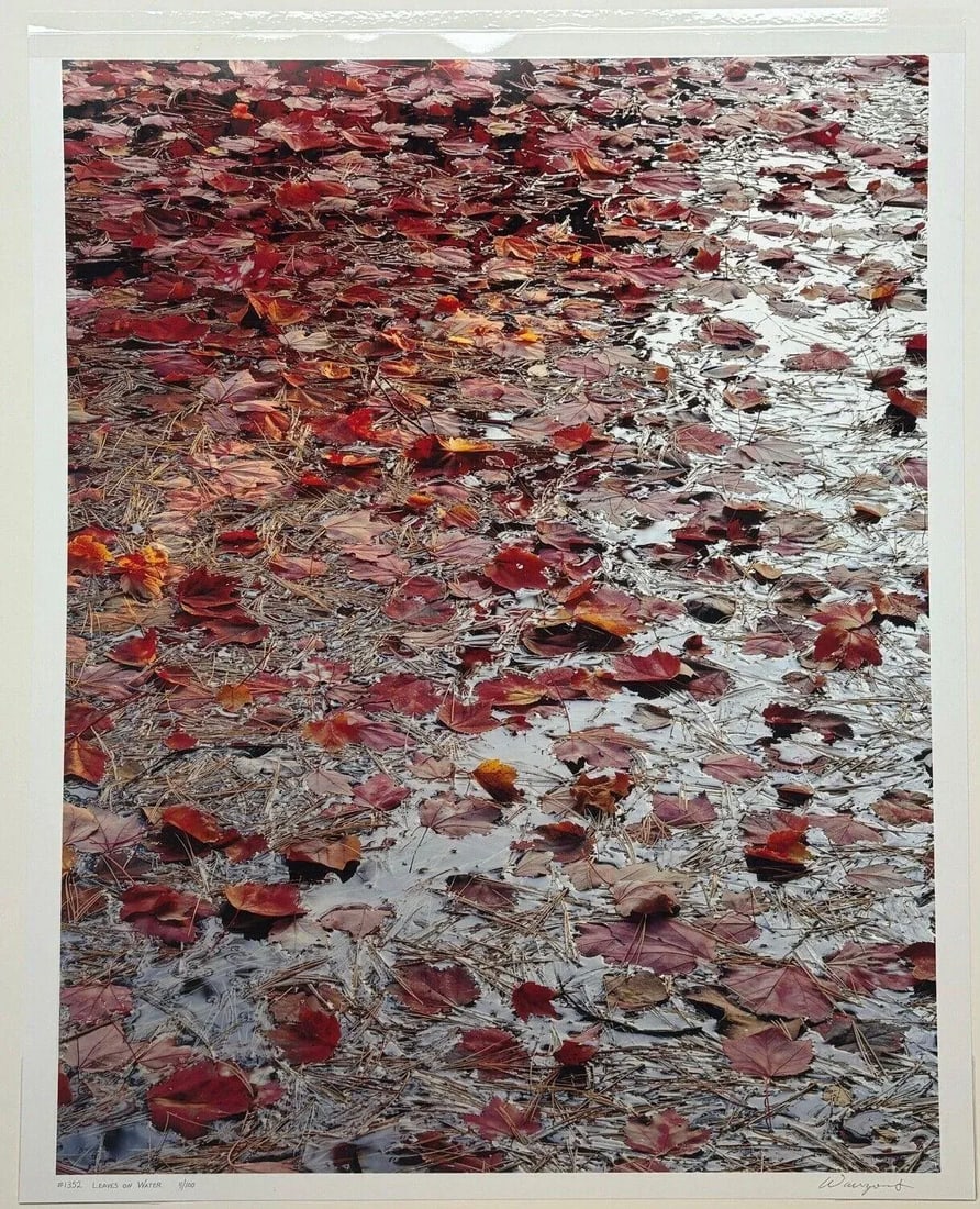 Original John Wawrzonek 'leaves on Water' Autumn Red Landscape Signed Photograph - 9