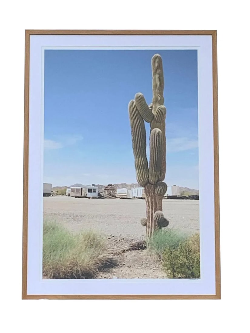 Original Cactus Color Photography Signed and Numbered: This Original Color Photography Signed and Numbered is a great way to add some art into a space. It has a clean and fun desert image. Would look stunning in any space. It is complete with a custom fra