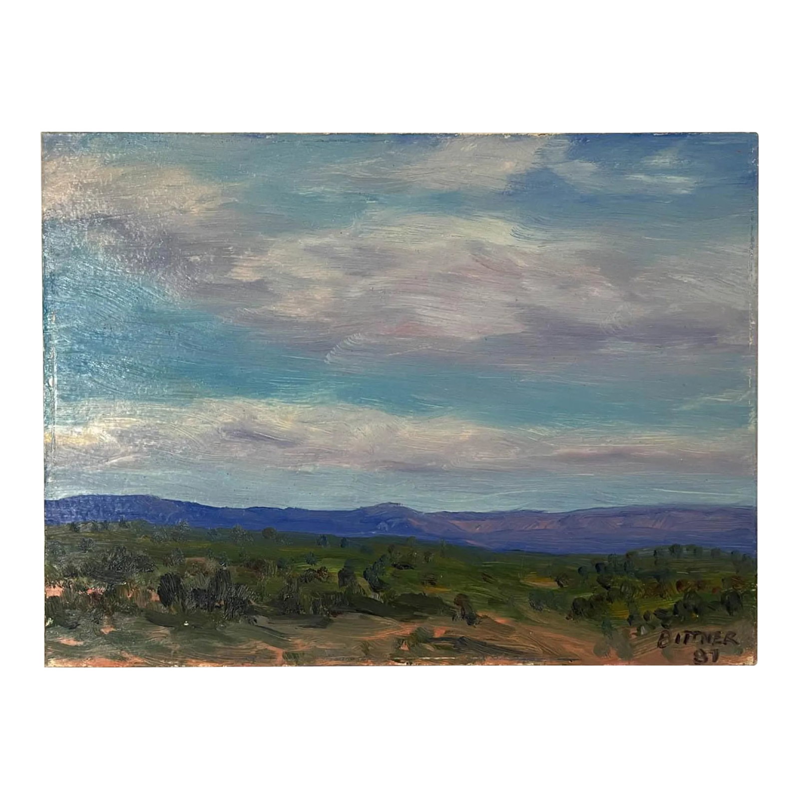 Chet Bittner Landscape Oil Painting: Beautiful vintage landscape oil painting on masonite board by Chet Bittner. Born in California in 1930, Bittner passed away in California in 2005. He was known for painting impressionism, seascapes, l