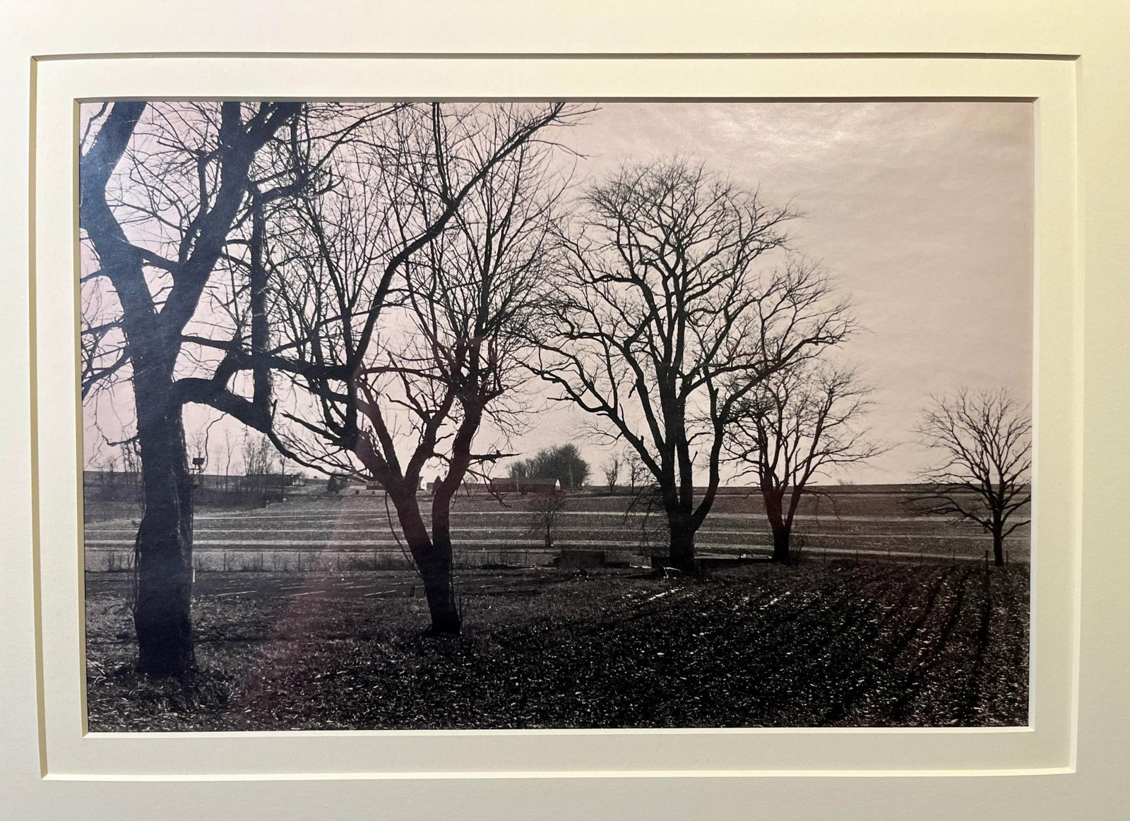 Rare 1992 Tony Marshall Fine Art Photo Print Framed & Matted With Glass Signed - 2