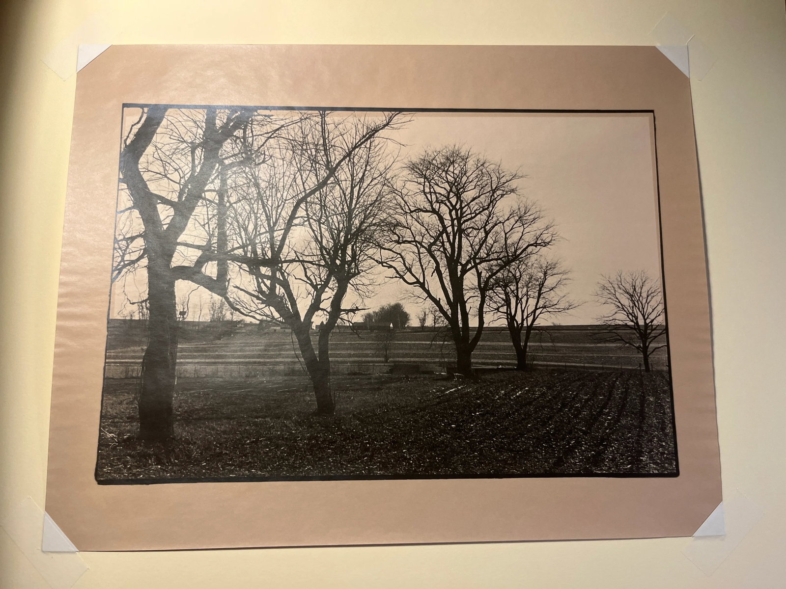 Rare 1992 Tony Marshall Fine Art Photo Print Framed & Matted With Glass Signed - 3