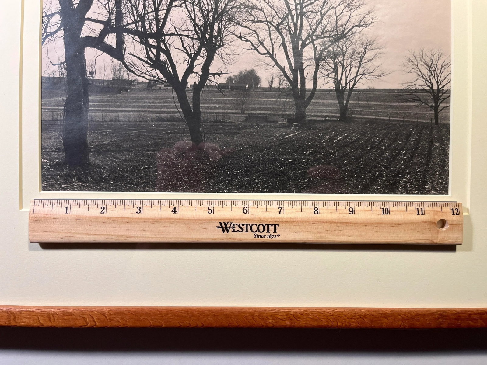 Rare 1992 Tony Marshall Fine Art Photo Print Framed & Matted With Glass Signed - 7