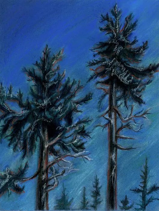 Landscape Night Pastel Painting by Kathleen Ney, Impressionist Moonrise Pastel: Plein air nocturne landscape pastel painting of majestic fir trees. A variety of rich blue and green colors drawn with high quality soft and hard pastels on 11.5" x 15" prepared mat board. The last