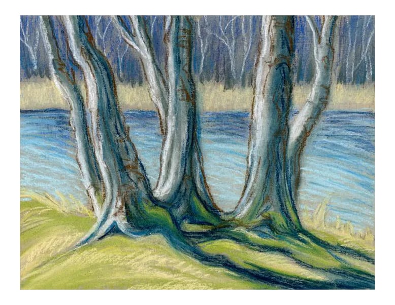 Contemporary Kathleen Ney Original Pastel Landscape Study Tree Trunks II: This would be great for a gallery wall in a framed grouping or could be a wonderful outdoor theme decor piece for a gift, home office or library. Plein air landscape and waterscape pastel study of tre