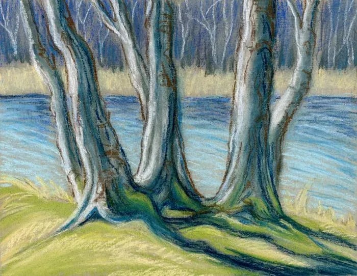 Contemporary Kathleen Ney Original Pastel Landscape Study Tree Trunks II - 4