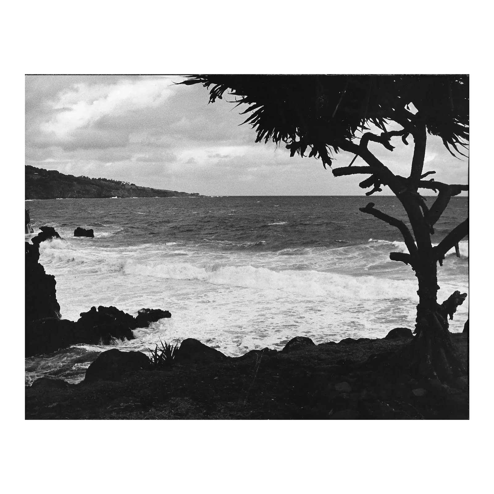 1972 Hawaii Beach Photograph by Don Ware: 1972 black and white photograph by Los Angeles photographer Don Coleman Ware (1921-2006) of a Hawaiian beach. Title, dated and bearing Ware's studio stamp on the back. Combined shipping available, ple