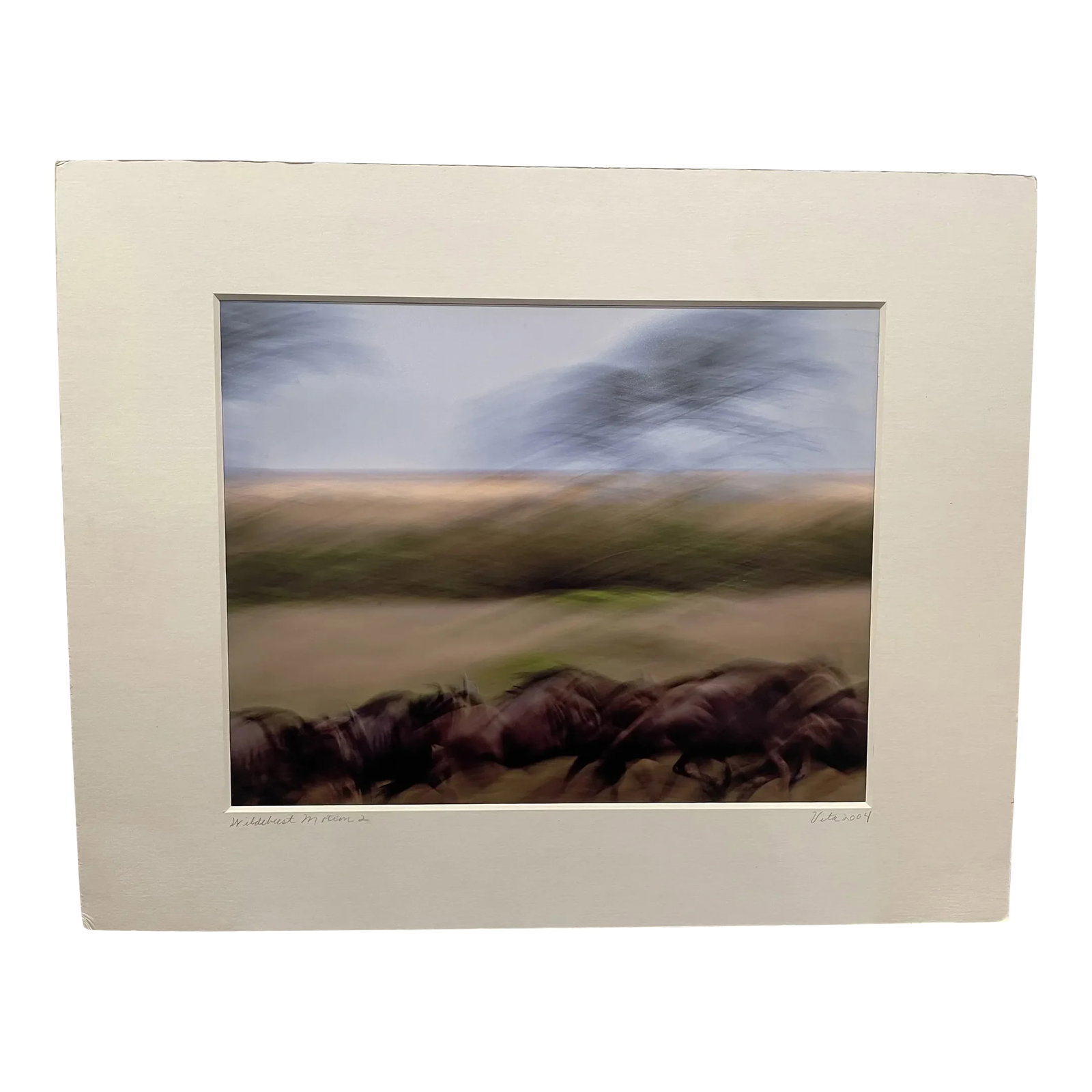 Stunning Motion-Blur Photo of Wildebeest Migration in Kenya - Signed by Vita Forlenze: From the Masai Mara Game Reserve in Kenya, this stunning motion-blur photo captures the kinetic wonder of nature unleashed. Dominated by browns, greens, yellows, and smudges of black from birds in