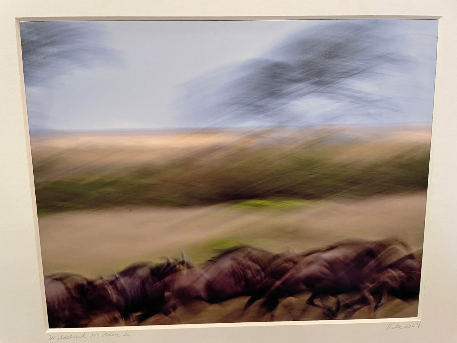 Stunning Motion-Blur Photo of Wildebeest Migration in Kenya - Signed by Vita Forlenze - 2