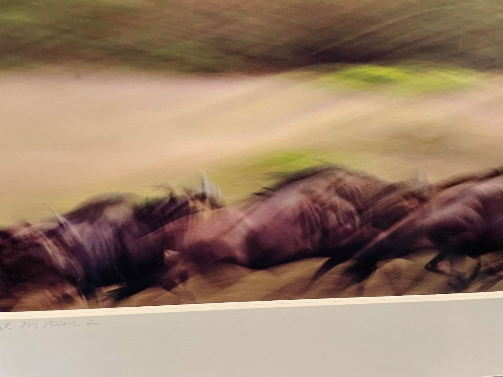 Stunning Motion-Blur Photo of Wildebeest Migration in Kenya - Signed by Vita Forlenze - 3