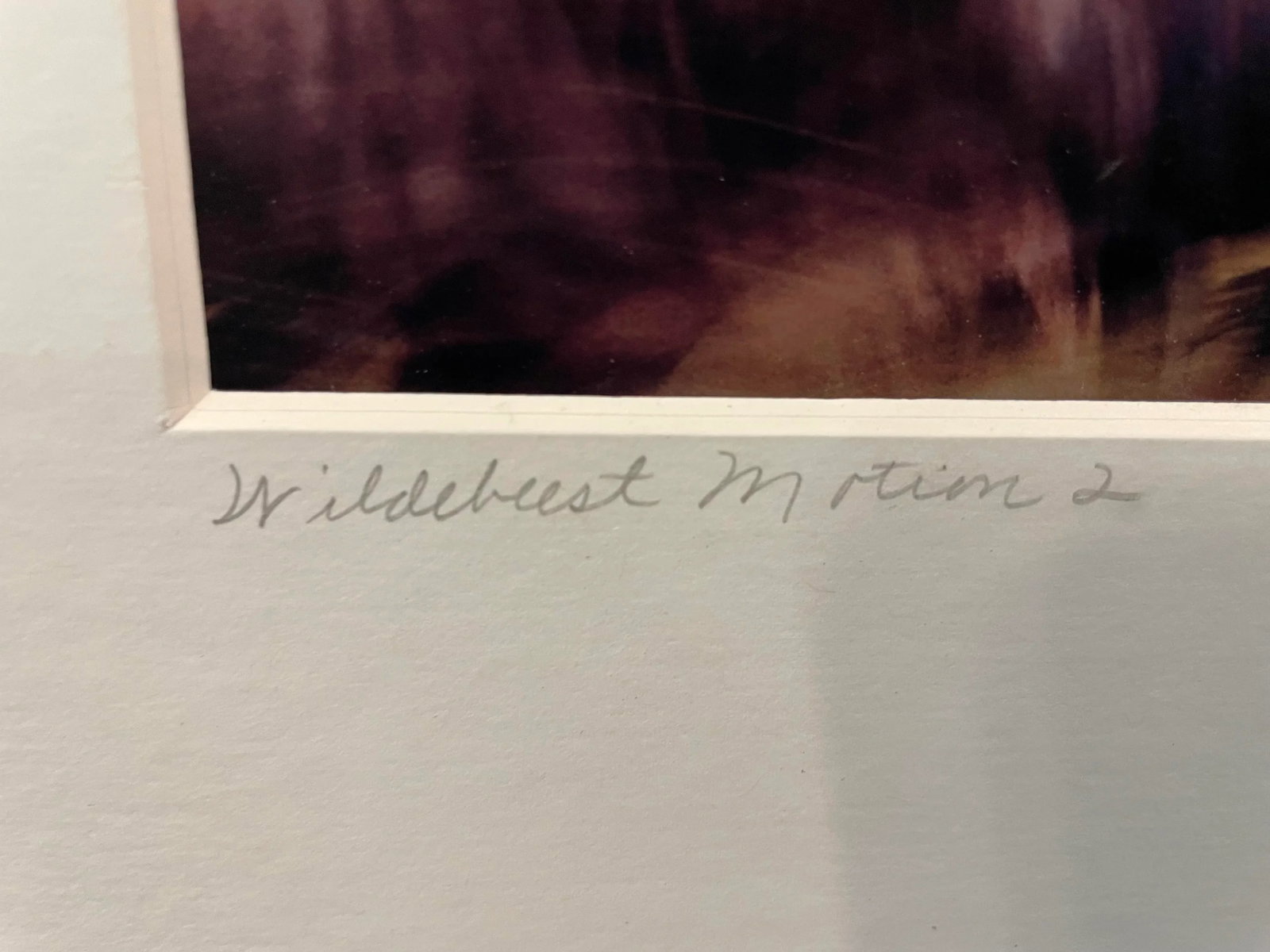 Stunning Motion-Blur Photo of Wildebeest Migration in Kenya - Signed by Vita Forlenze - 5