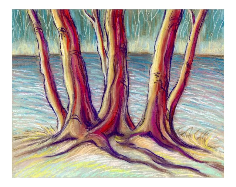 Kathleen Ney Original Pastel Landscape Study Tree Trunks III: Plein air landscape and waterscape pastel study of tree trunks and shadows on a sunny day at the lake. Another color study in a variety of warm colors drawn with high quality soft and hard pastels on