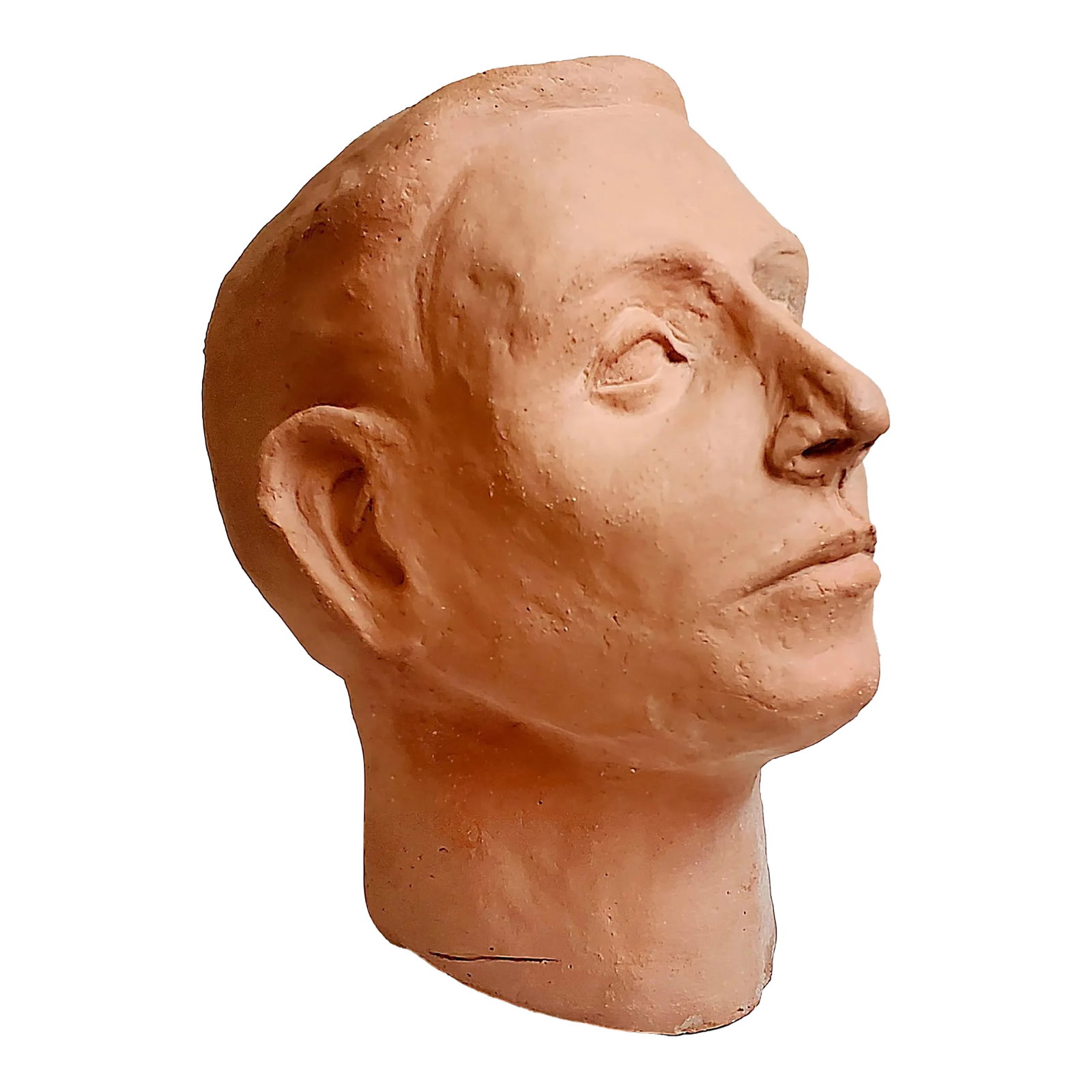 1940s Terracotta Head Sculpture: 1940s Terracotta Studio Art Male Head Sculpture 8L x 5w x 8d Artist unknown. French 1940s. Unsigned. Nicely weighted and stable. Rich terracotta color with textural details and mottled patina.