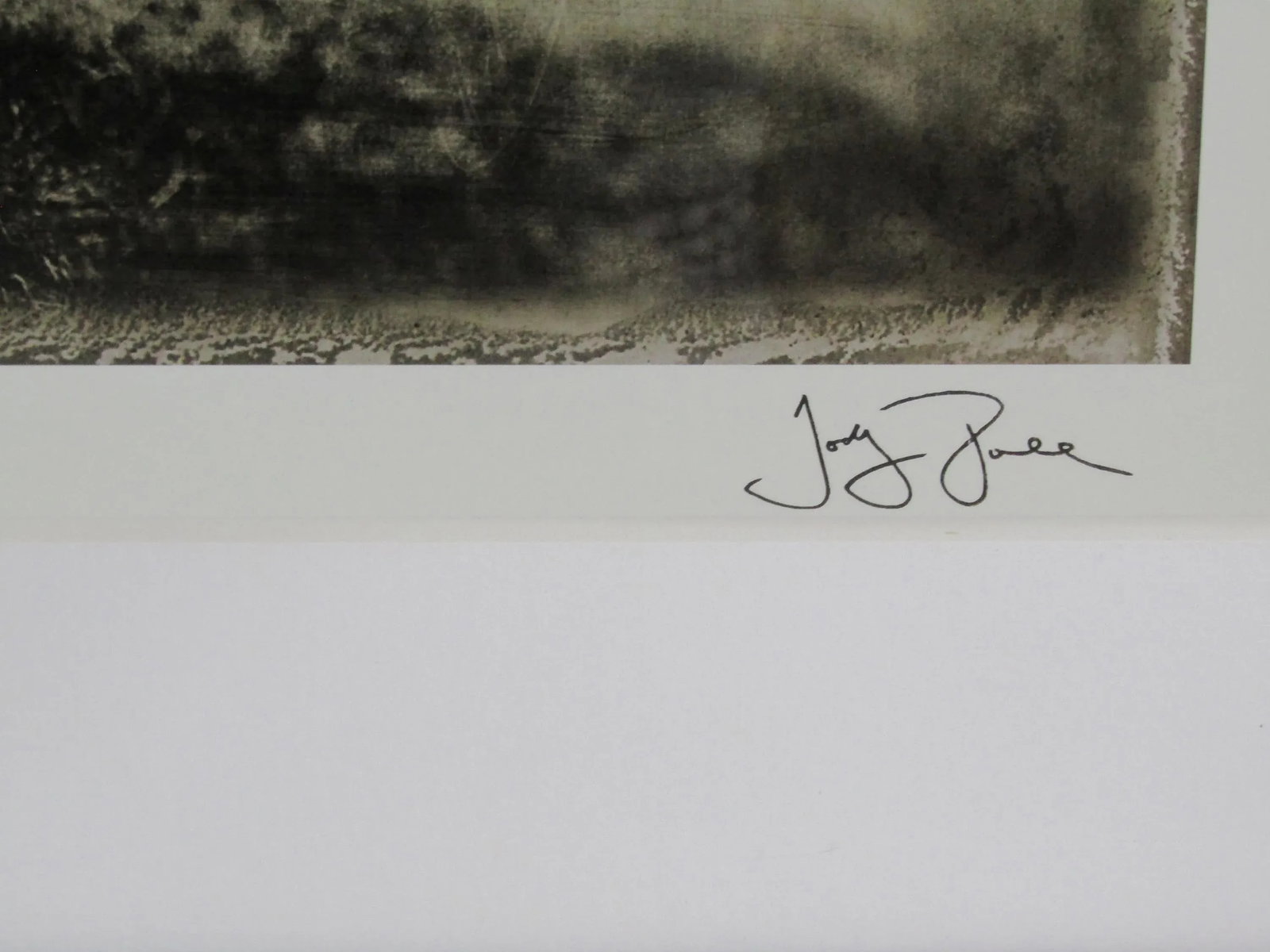Jody Dole "Nantucket Landscape" Signed Limited Edition Studio Photo Print (10/100) - Framed - 8