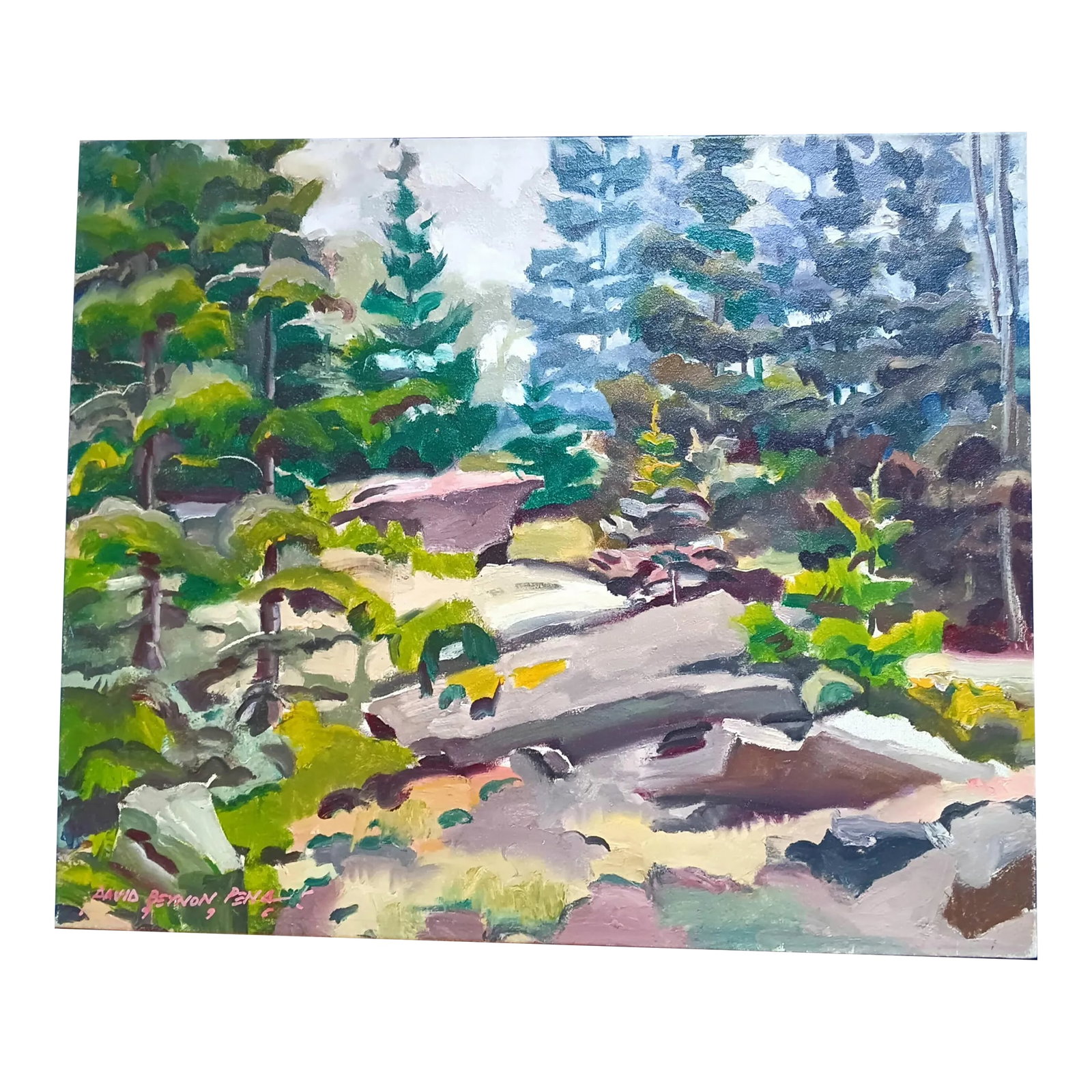Walking Through Deep Dark Woods Over Granite Rocks Original Oil Painting by David Beynon Pena: This vibrant, light-filled original oil painting invites us to journey deep into the pine woods of Maine. Come scramble along the majestic rocks through a verdant forest towards a destination barely