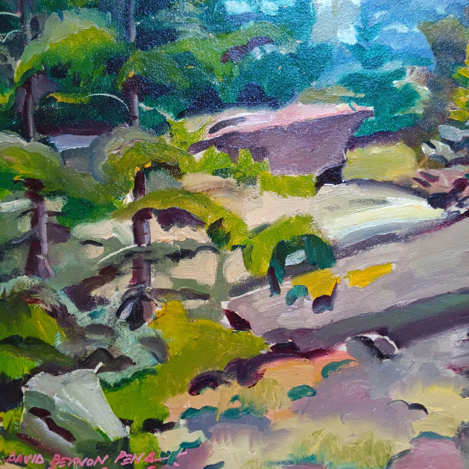 Walking Through Deep Dark Woods Over Granite Rocks Original Oil Painting by David Beynon Pena - 4