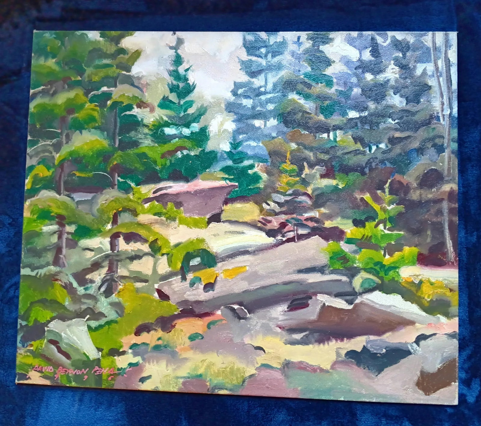 Walking Through Deep Dark Woods Over Granite Rocks Original Oil Painting by David Beynon Pena - 6