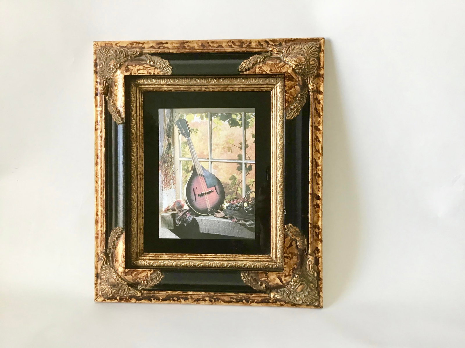 Custom Framed Mandolin Artwork - 2
