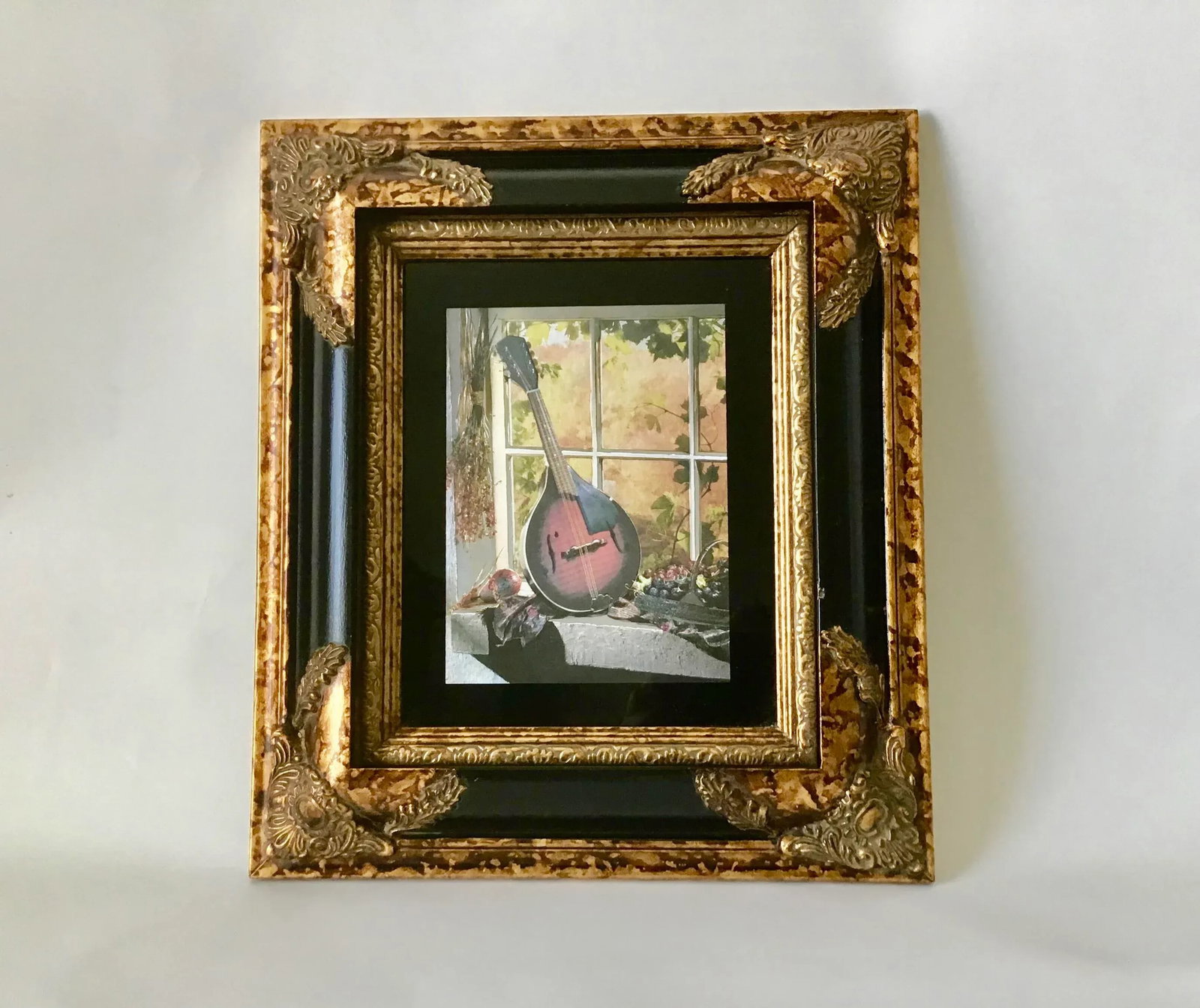 Custom Framed Mandolin Artwork - 3