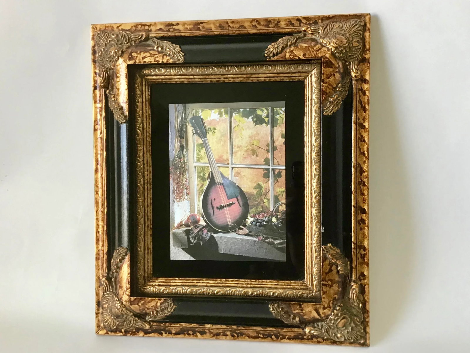 Custom Framed Mandolin Artwork - 6