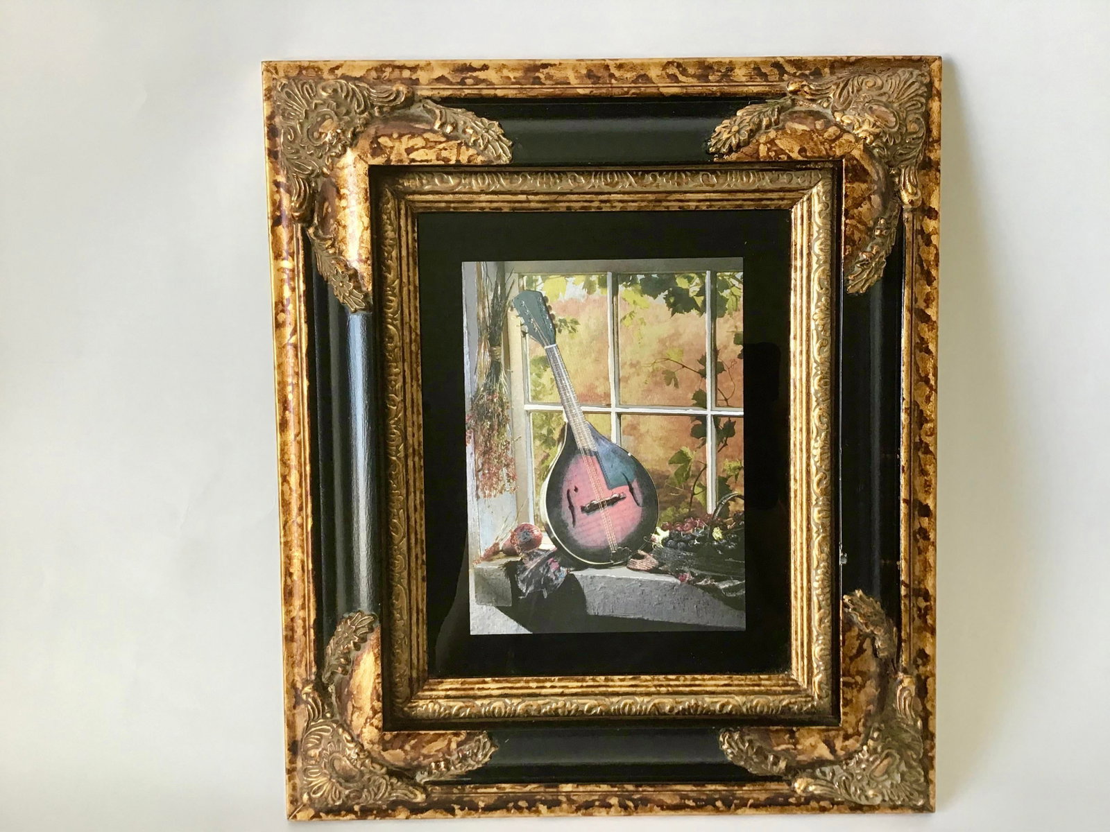 Custom Framed Mandolin Artwork - 7