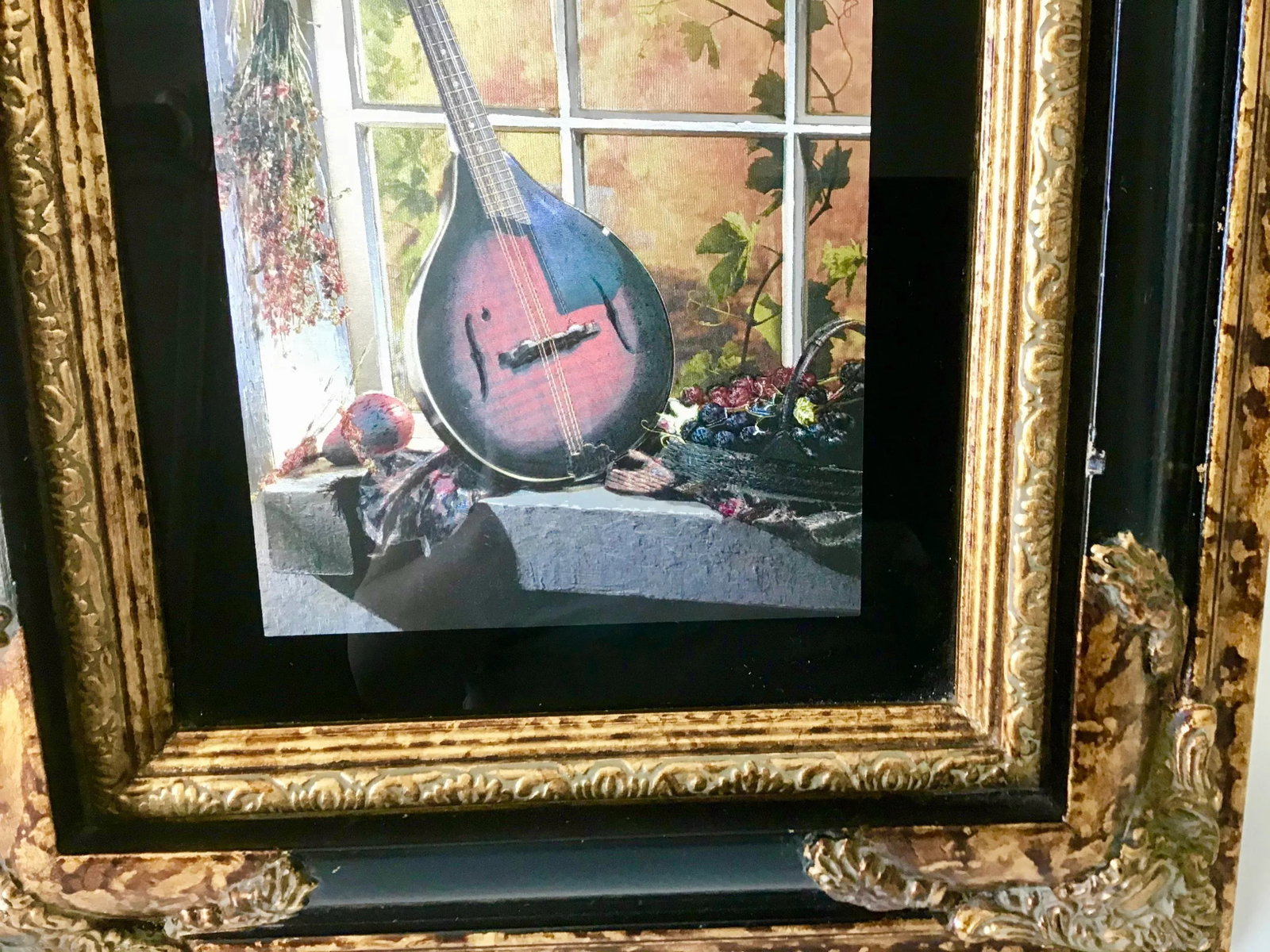 Custom Framed Mandolin Artwork - 8