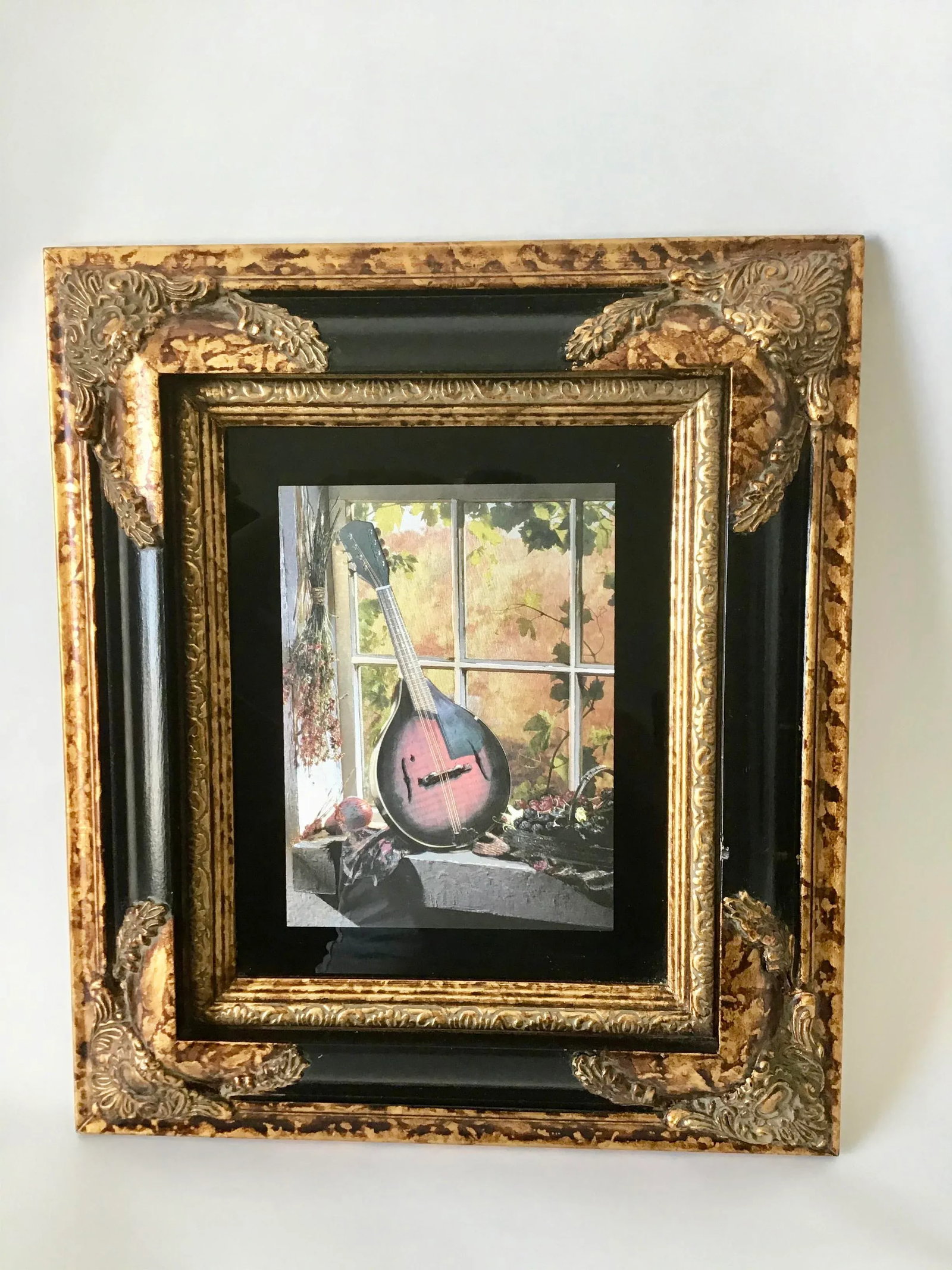 Custom Framed Mandolin Artwork - 9