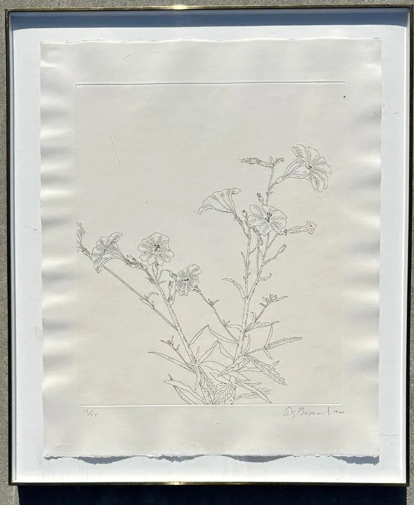 Ed Baynard (American, 1940-2016) Floral, Flowers Etching Framed - 2