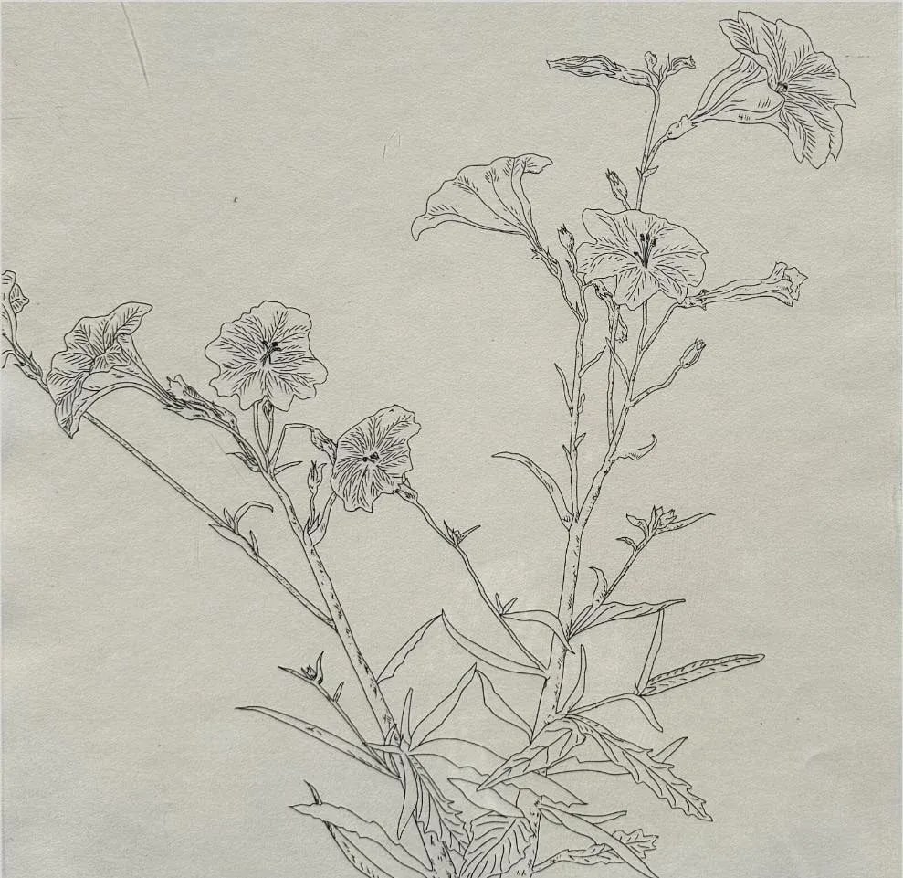Ed Baynard (American, 1940-2016) Floral, Flowers Etching Framed - 3