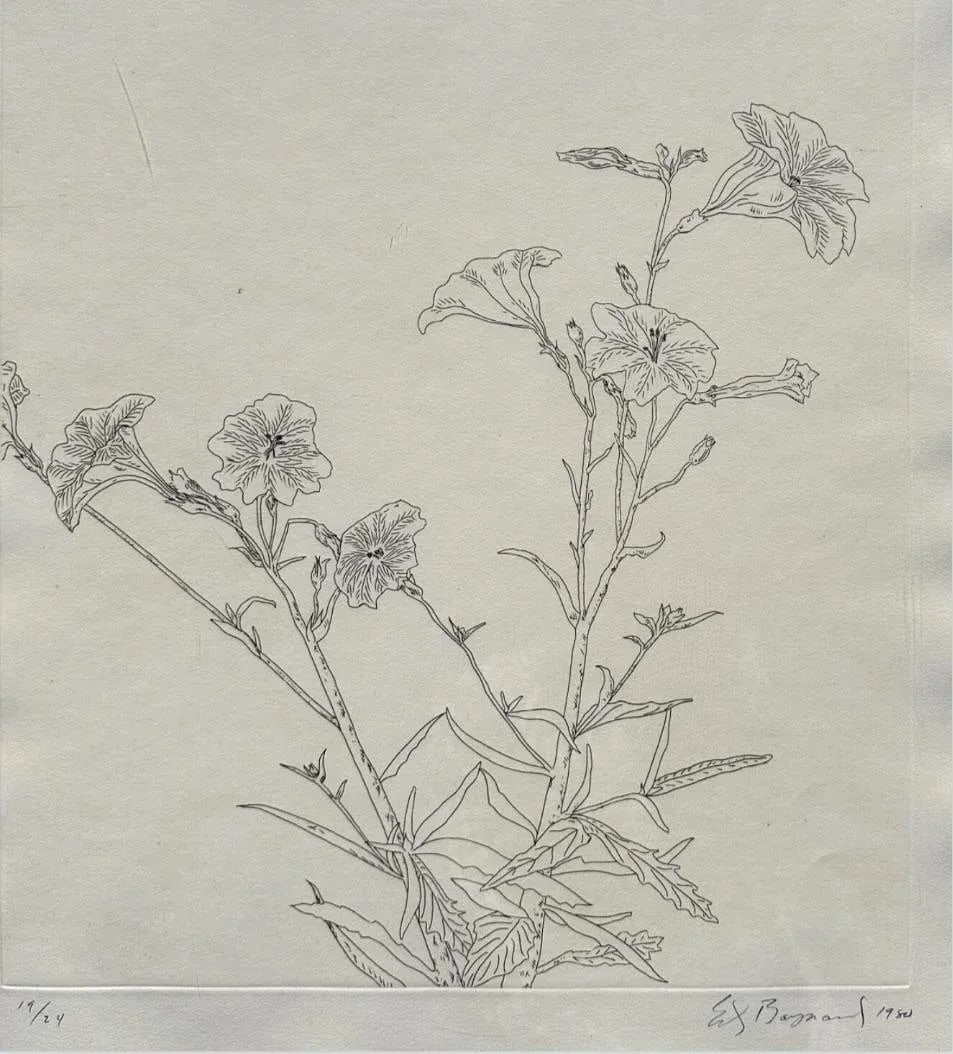 Ed Baynard (American, 1940-2016) Floral, Flowers Etching Framed - 4